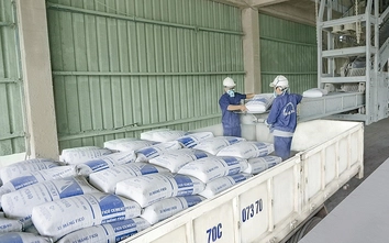 Tiêu thụ xi măng nội địa tăng 16% trong 5 tháng đầu năm