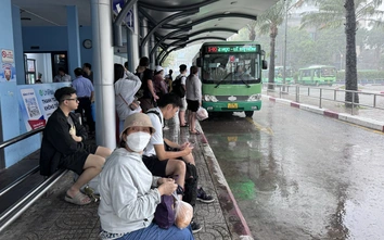 TP.HCM sắp triển khai chương trình xe buýt miễn phí lớn nhất từ trước đến nay