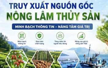 18.000 sản phẩm sẵn sàng tham gia hệ thống truy xuất nguồn gốc