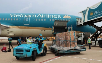 Chuyến bay đặc biệt chắp cánh cho sếu đầu đỏ hồi sinh trên vùng đất Tràm Chim