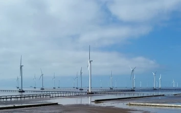 Bảo vệ cáp ngầm dưới biển: Yếu tố then chốt bảo đảm hiệu quả các dự án điện gió ngoài khơi