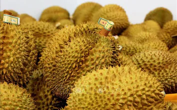 Mã vùng trồng nông sản gắn với vị trí thửa đất