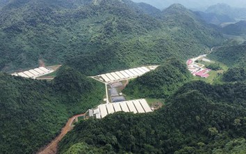 Thanh Hóa: Ba người tử vong, bốn người bị thương ở trang trại lợn
