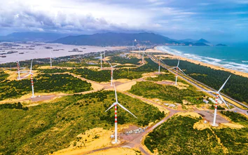 Gia Lai chấp thuận chủ trương đầu tư Nhà máy điện gió Ia Le 2 gần 1.500 tỷ đồng