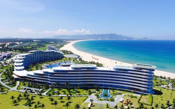 Ngắm nghìn loài hoa và say đắm nhịp xoang trong lễ hội ở Quy Nhơn