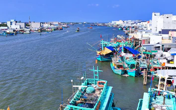 Cà Mau: Đẩy mạnh số hóa quản lý tàu cá, quyết tâm chống khai thác IUU