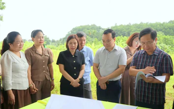 Phú Thọ đẩy nhanh tu bổ, tôn tạo các di tích lịch sử, văn hóa