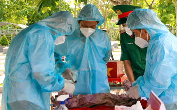 Vĩnh Long: Lấy mẫu ADN tìm lại tên cho 126 liệt sĩ ở Nghĩa trang Bình Minh