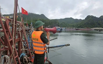 Hải Phòng kích hoạt phương án bảo đảm an toàn tàu thuyền trước bão số 1