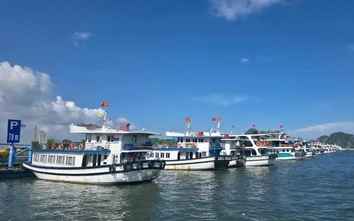 Quảng Ninh tạm dừng tàu du lịch, tàu rời bến để ứng phó bão số 1