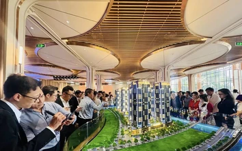 Định danh chứng chỉ nghề môi giới: Chìa khóa minh bạch hóa thị trường bất động sản