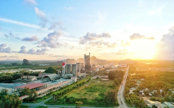 INSEE Việt Nam tham gia sàn giao dịch carbon Việt Nam, khẳng định cam kết giảm phát thải