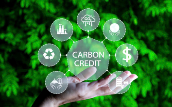 Tín chỉ carbon: Chạy đà trước khi "vươn biển lớn"