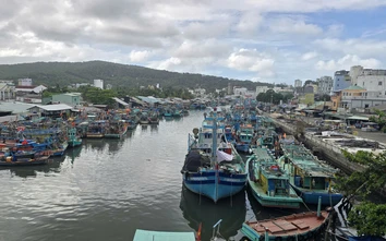 An Giang quản lý 96 tuyến đường thủy nội địa dài 1.634km