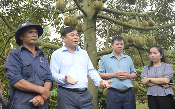 Gỡ khó cho xuất khẩu nông sản