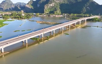 Ninh Bình chuyển đổi gần 9ha rừng, gỡ vướng cho dự án giao thông trọng điểm