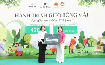 Gần 400 người tham gia "Hành trình gieo bóng mát" tại Quy Nhơn