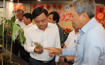 Đà Nẵng: Khai mạc lễ hội sâm Ngọc Linh - Tinh hoa dược liệu thế giới