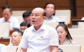 Dự thảo Luật Phát triển đô thị: Cơ chế đặc thù phải tạo không gian cho cán bộ dám làm