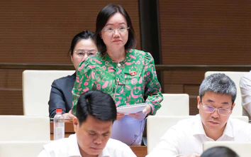 ĐBQH: Nên cho thăm dò, khai thác khoáng sản từng phần, gỡ vướng nguồn vật liệu xây dựng