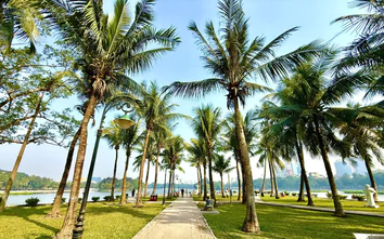 Bộ Xây dựng sắp ban hành quy chuẩn kỹ thuật về công viên, cây xanh