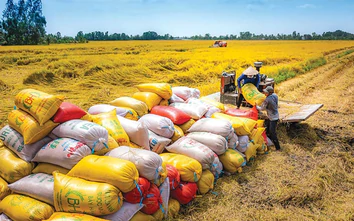 Mở rộng sản xuất lúa chất lượng cao, phát thải thấp