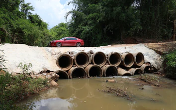 Đồng Nai thông qua chuyển đổi 2,67ha rừng để làm cầu Mã Đà