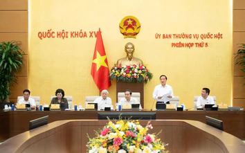 Hoàn thiện thể chế, tạo dư địa phát triển cho đô thị có tiềm năng