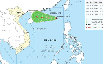 Chủ động ứng phó áp thấp nhiệt đới