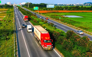 Có hơn 199.000 GPLX CE, vì sao vẫn thiếu lái xe container?
