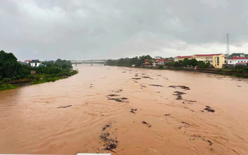 Cảnh báo bão lũ cấp 1 trên các sông địa bàn tỉnh Phú Thọ