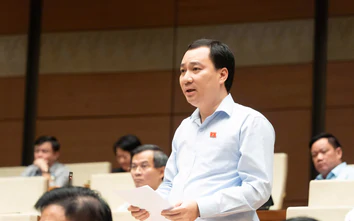 Đề xuất xây dựng cơ sở dữ liệu quốc gia, tăng cường giám sát các dự án lấn biển