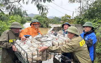 Bắc Ninh: Xuyên đêm hỗ trợ người dân ứng phó mưa lũ, gia cố đê điều