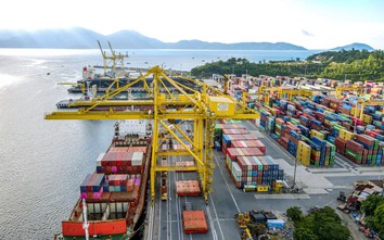 Cảng Đà Nẵng: Thương hiệu cảng biển container lớn nhất miền Trung