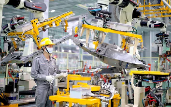 Để nền kinh tế sớm hóa rồng…