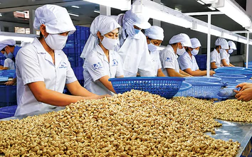 Giải bài toán “xuất khẩu lớn, thương hiệu nhỏ”