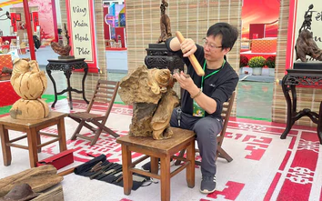 Hà Nội sắp có chợ nguyên liệu gỗ rộng gần 5ha tại xã Thư Lâm