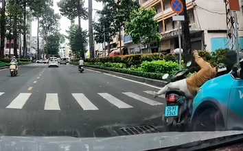 Taxi bất ngờ vượt phải húc bay xe máy đang qua đường