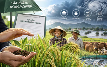 Chính thức hỗ trợ tối đa 95% phí bảo hiểm nông nghiệp