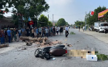 Vụ cưa cây khiến một người đi đường tử vong, ai chịu trách nhiệm hình sự?