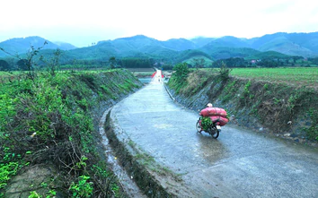 Huy động nhân lực, vật liệu tập trung thi công cầu vượt lũ 95 tỷ đồng ở Quảng Trị