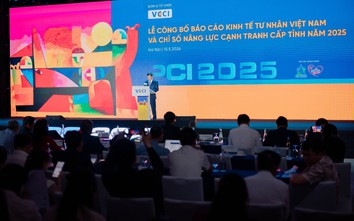 PCI 2.0: Đo hiệu quả cải cách từ sức mạnh của khu vực tư nhân