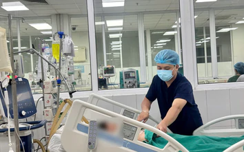 Nhiễm trùng huyết, nguy kịch vì một vết thương nhỏ xíu do mò đốt