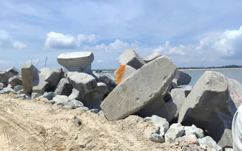 Đơn vị bảo hiểm có nên tham gia từ đầu dự án?