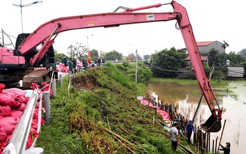 Ninh Bình: Huy động 130 người và máy xúc cùng 5.000 bao tải cát vá đê tả sông Đáy