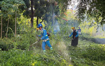 Làm sạch môi trường, đẹp cảnh quan hàng loạt khu dân cư ở Quảng Ngãi
