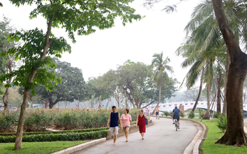 Bộ Xây dựng ban hành Thông tư hướng dẫn quản lý cây xanh đô thị