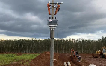 Gia Lai: Đẩy nhanh tiến độ các khu tái định cư phục vụ cao tốc Quy Nhơn - Pleiku