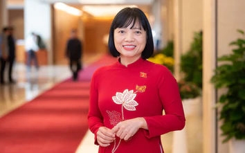 Nghiên cứu một luật để sửa nhiều luật