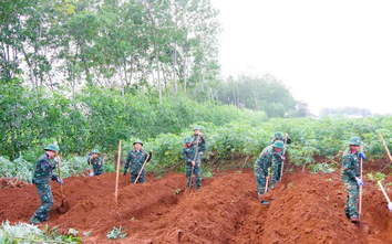 Quảng Trị: Tìm kiếm hài cốt 11 liệt sĩ đặc công hy sinh tại khu vực Dốc Miếu